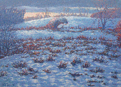 Oil Paintings, Original Oil Paintings, Paintings on Canvas, Paintings on Linen, Landscapes, Impressionist, Impressionist Paintings, Stained Glass, Fine Art