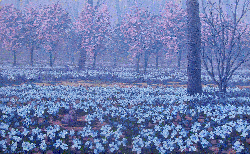 Oil Paintings, Original Oil Paintings, Paintings on Canvas, Paintings on Linen, Landscapes, Impressionist, Impressionist Paintings, Stained Glass, Fine Art