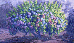 Oil Paintings, Original Oil Paintings, Paintings on Canvas, Paintings on Linen, Landscapes, Impressionist, Impressionist Paintings, Stained Glass, Fine Art